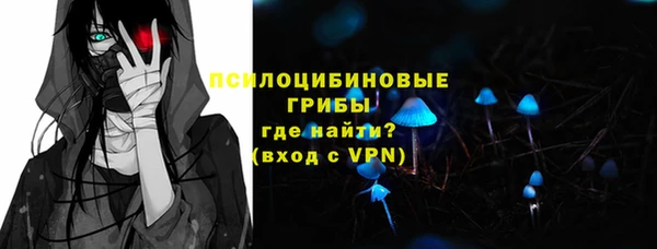 spice Алзамай