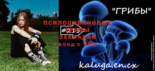 spice Алзамай